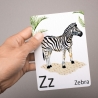SET 26 Tier Buchstabenkarten