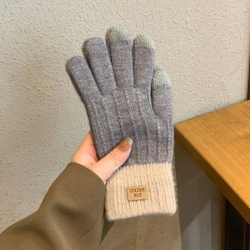 Damen-Winter-Fingerhandschuhe m. Touchscreen, grau, neu