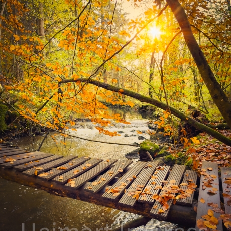Neu! Fotografie Licht-Brücke als Poster Druck