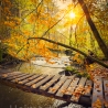 Neu! Fotografie Licht-Brücke als Poster Druck