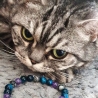 Handgefertigte Tierhaarperle mit Armband aus Edelsteinperlen