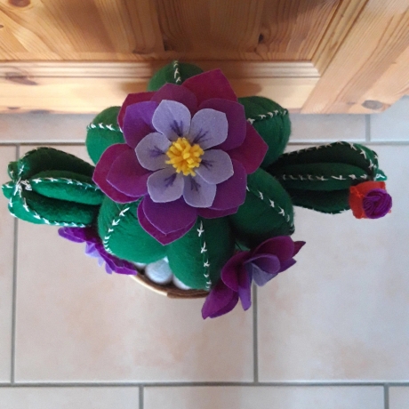 Türstopper Kalle Kaktus, ca. 2,8kg Filz
