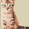 DreamEmbroid Little Cat - Fotorealistische Stickdatei