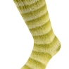 Lana Grossa Cosy Socks, 4-fäd. Sockenwolle gestreift
