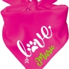 Dreiecks Hundehalstuch LOVE personalisiert mit Name
