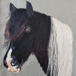 Duke - junger Barockpinto - Vollstick - 14x14