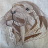 Walross - 15.76 x 14.10 cm