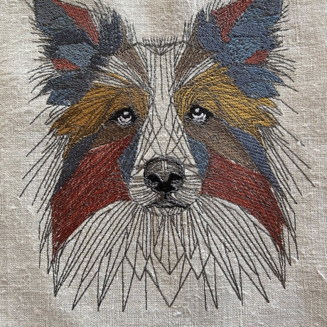 Border Collie - 12.68 x 13.84 cm
