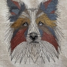 Border Collie - 12.68 x 13.84 cm