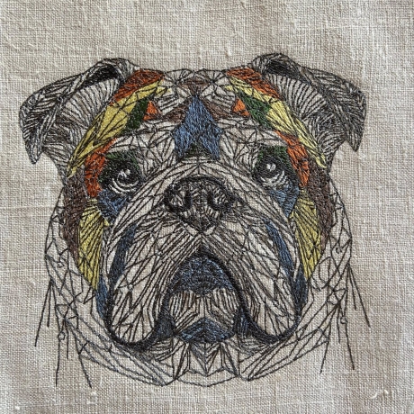 englische Bulldogge 01 - 13.46 x 12.70 cm