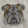 englische Bulldogge 01 - 13.46 x 12.70 cm