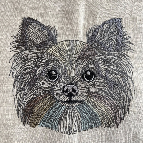 Chihuahua - 12.78 x 11.74 cm