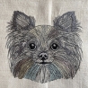 Chihuahua - 12.78 x 11.74 cm