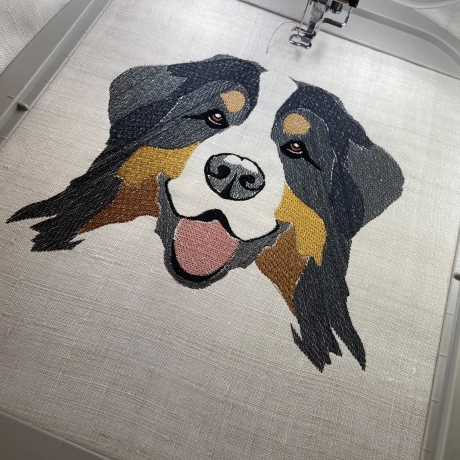 Berner Sennenhund - 12.78 x 12.28 cm