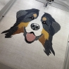 Berner Sennenhund - 12.78 x 12.28 cm