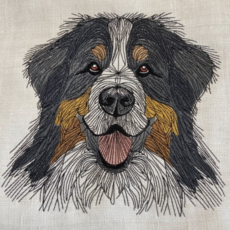 Berner Sennenhund - 12.78 x 12.28 cm