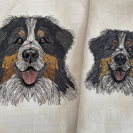 Berner Sennenhund - 12.78 x 12.28 cm