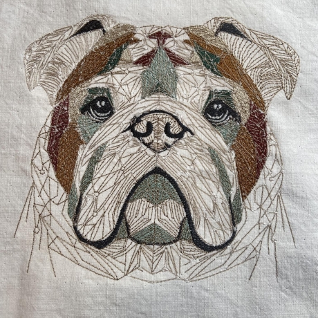 englische Bulldogge 01 - 13.46 x 12.70 cm