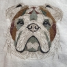 englische Bulldogge 01 - 13.46 x 12.70 cm