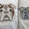 englische Bulldogge 01 - 13.46 x 12.70 cm