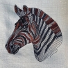 Zebra - 13.66 x 13.84 cm