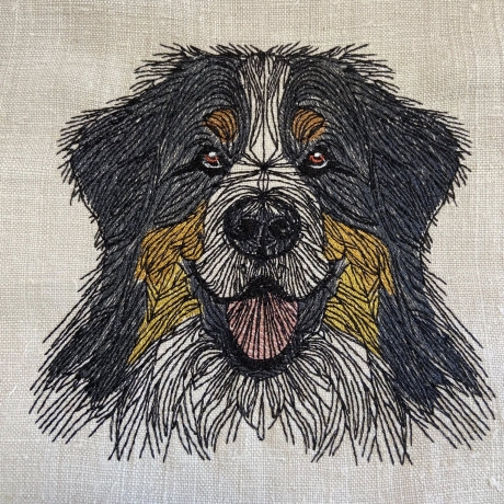 Berner Sennenhund - 12.78 x 12.28 cm