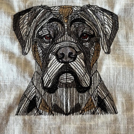 Boxer 01 - 15.77 x 16.88 cm