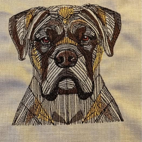 Boxer 01 - 15.77 x 16.88 cm