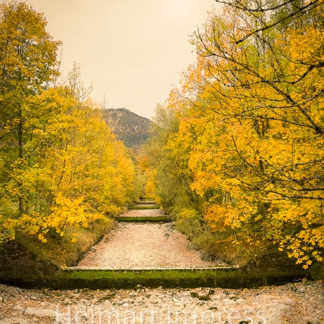 Fotografie Flussbett im Allgäu - FineArt Druck