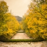 Fotografie Flussbett im Allgäu - FineArt Druck
