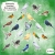 Watercolor - Singvögel - Bunt gemischt - 20 Stanzteile