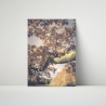 Fotografie Baum im Herbstlicht - FineArt Druck