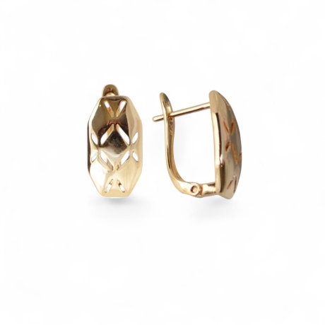 18K Vergoldete Ohrringe – Trendiger Schmuck für moderne Damen