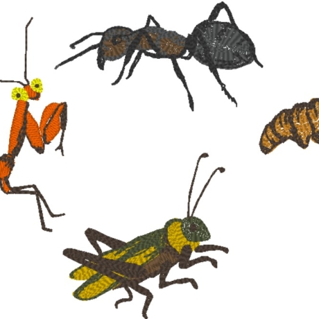 Insekten - Kein digitales Produkt auf meinem Produkt gestickt