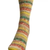 Gestricke Socken REGIA SURFER FUN - Gr.ca 36/37