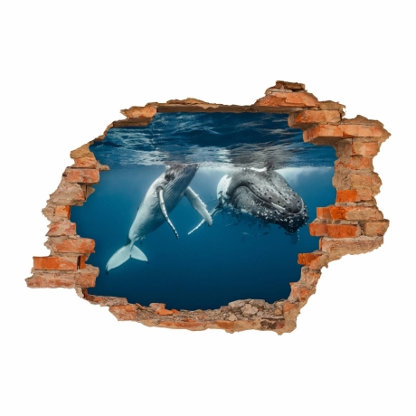101 Wandtattoo Buckelwal Unterwasser - Loch in der Wand