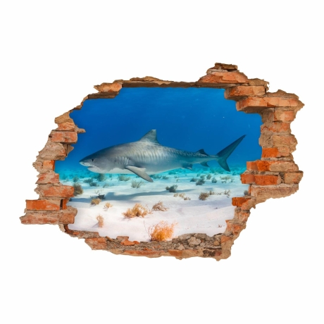 100 Wandtattoo Hai Wasser Sand - Loch in der Wand