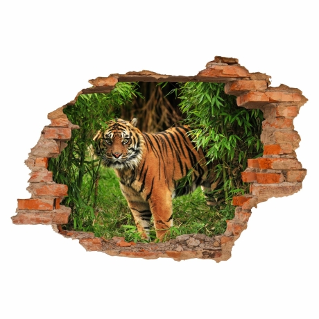 030 Wandtattoo Tiger - Loch in der Wand