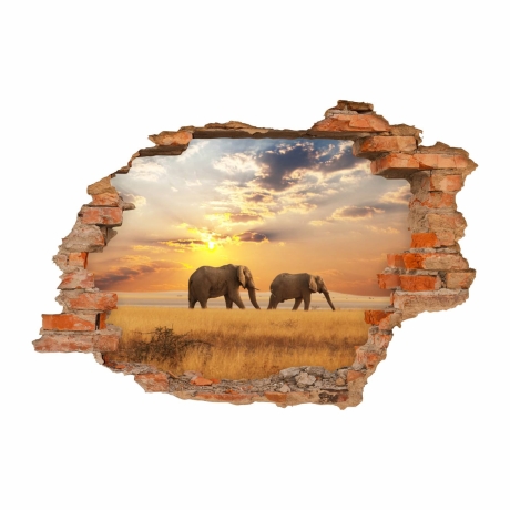 091 Wandtattoo Elefant Sonnenuntergang Savanne - Loch in der Wand