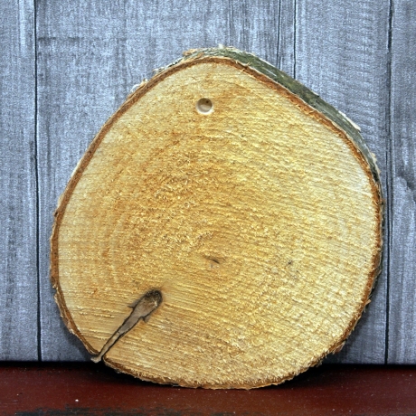 2 Holzscheiben Birke rund - Be free little bird