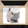 Schreibtischunterlage – Süße graue Katze – 70 x 50 cm – Schreibunterlage für Kinder aus erstklassigem Premium Vinyl – Made in Germany