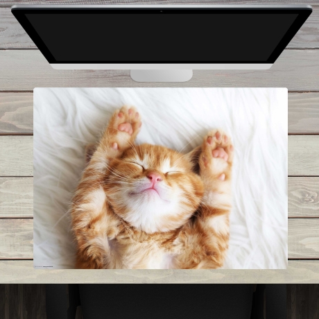 Schreibtischunterlage – Süßes Katzenbaby beim schlafen  – 70 x 50 cm – Schreibunterlage aus erstklassigem Premium Vinyl – Made in Germany