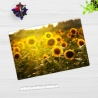 Schreibtischunterlage – Sonnenblumenfeld – 60 x 40 cm – Schreibunterlage für Kinder aus erstklassigem Premium Vinyl – Made in Germany
