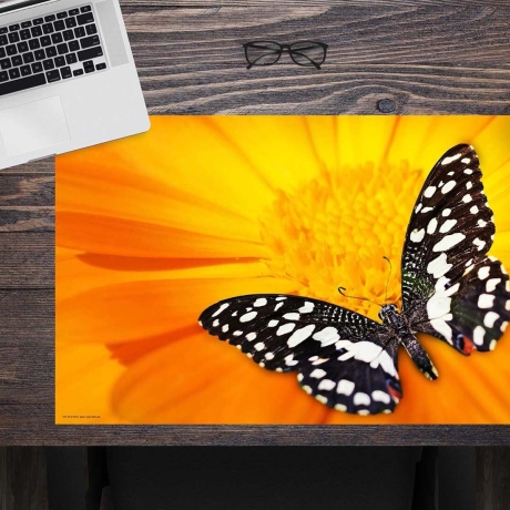Schreibtischunterlage – Schwarz-Weißer Schmetterling – 60 x 40 cm – Schreibunterlage für Kinder aus Premium Vinyl – Made in Germany