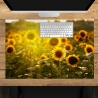 Schreibtischunterlage – Sonnenblumenfeld – 60 x 40 cm – Schreibunterlage für Kinder aus erstklassigem Premium Vinyl – Made in Germany