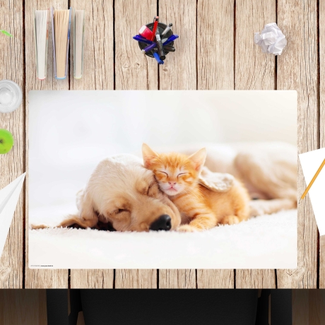 Schreibtischunterlage – Freundschaft zwischen Katze und Hund – 60 x 40 cm – Schreibunterlage für Kinder aus Premium Vinyl – Made in Germany