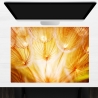 Schreibtischunterlage – Pusteblume im Sonnenglanz – 70 x 50 cm – Schreibunterlage aus erstklassigem Premium Vinyl – Made in Germany