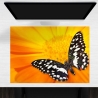 Schreibtischunterlage – Schwarz-Weißer Schmetterling – 70 x 50 cm – Schreibunterlage für Kinder aus Premium Vinyl – Made in Germany