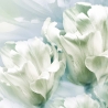 Schreibtischunterlage XXL – Romantische weiße Tulpen – 100 x 50 cm – Schreibunterlage für Kinder aus erstklassigem Premium Vinyl