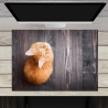 Schreibtischunterlage – Orange Katze – 70 x 50 cm – Schreibunterlage aus erstklassigem Premium Vinyl – Made in Germany